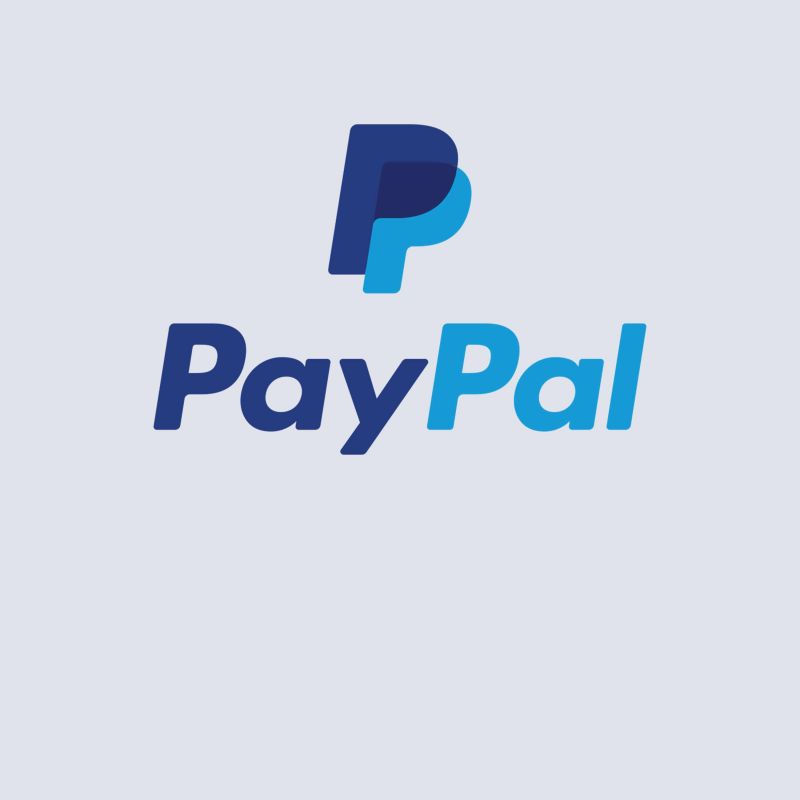 Pay-Pal-Zahlung_800x800