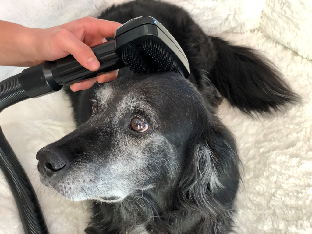 Tierbürste mit PVC-Kamm u. Schlauch