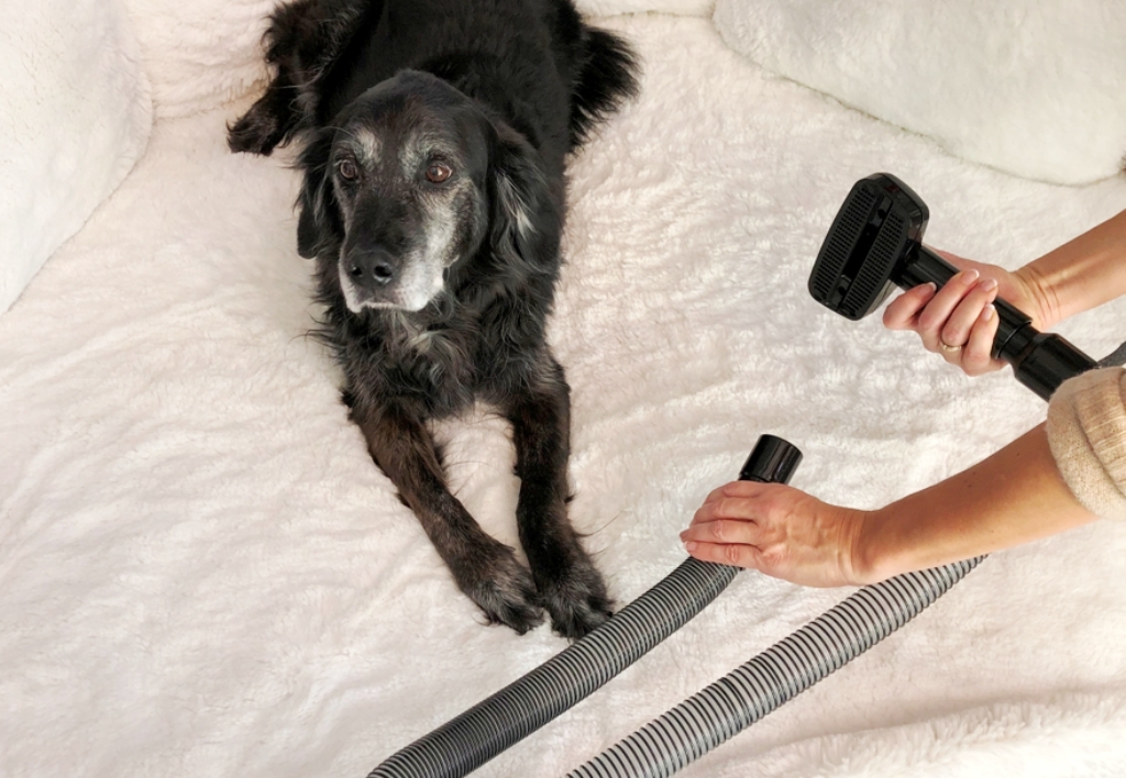 Tierbürste mit PVC-Kamm u. Schlauch